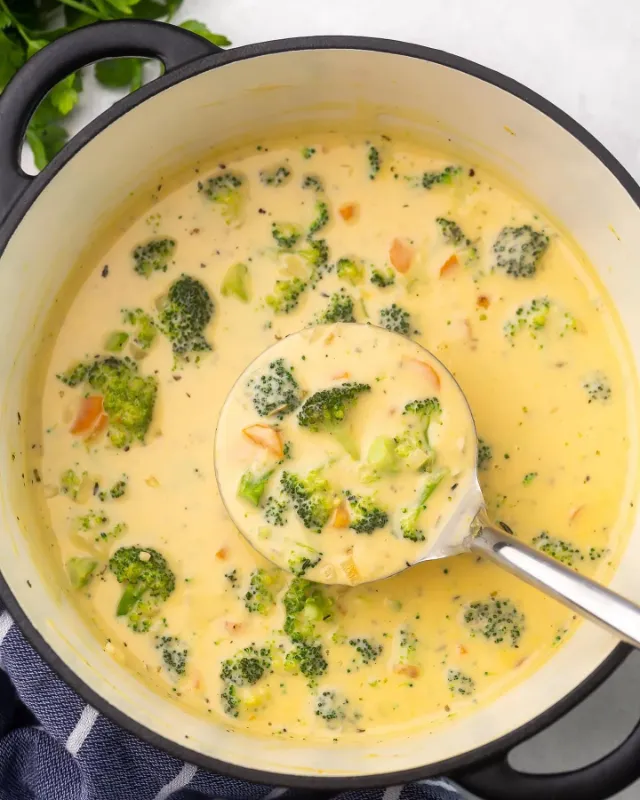 Broccoli Cheddar Soup