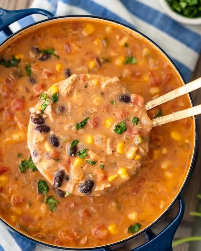 Chicken Tortilla Soup