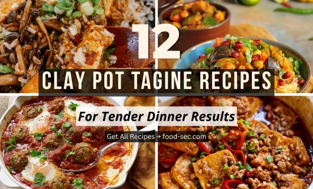 12 Clay Pot Tagine Recipes for Tender Dinner Results